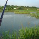 신들의풍차 이미지