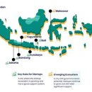 우리가축 인공수정 이미지