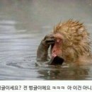 316028 이미지