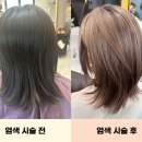 살롱드 하루 2호점 이미지