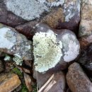 그늘막128 이미지