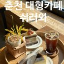 와 | [춘천 대형카페추천] 포토존&amp;쌀케이크 힐링카페 ::쉬러와:: 방문후기