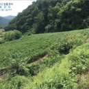 원통초 신덕분교장 이미지