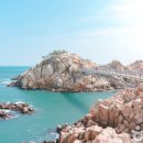 2025 해돋이 행사 이미지