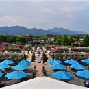 곡성-197 이미지