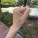 엉터리연탄갈비 이미지