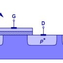 BODY EFFECT 이미지