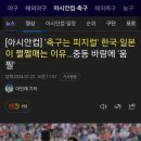 아시안컵 경기장에서 느껴진 선수들의 피지컬 차이는 피파 랭킹과 무관했다. 이미지