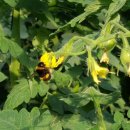 자경농장 이미지