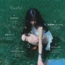 유주조명 스포츠서울