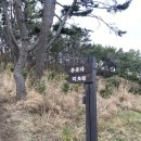 대왕암공원미로원화장실 이미지