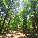 루나펜션민박 이미지