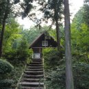 남해편백자연휴양림 이미지