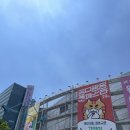 제29회 궁디팡팡 캣페스타 방문 후기 (05/31~06/02 @aT센터)