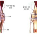 츄츄 동물병원 이미지