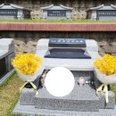 더피우리 이미지