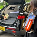 국제장례식장 이미지