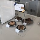 달레메종 이미지