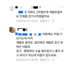 늘찬병원 | (기록)-슬개골 수술 9주 차 후기