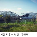 당장에 귀농 할 것이 아니라면 년세 400만원이 나오는 곳으로 미리 준비해두세요. 전남 고흥군 바닷가가 가까운 곳. 계획관리지역의 시설하우스 매매합니다 이미지