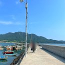 호동이두마리(옥동점) | 금평리]통영 사량도 도보권 낚시 포인트추천 , "옥동 선착장" 포인트 8월 조과 제로찌 전유동 채비...