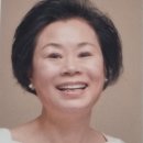 노벨상 후보 수연 이미지