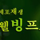 세포재생 웰빙 프로그램입니다. - 젊어지는 비결 이미지