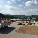 함평나비마을서울캠핑장 이미지