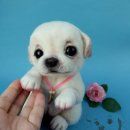 아름다운동물병원 이미지