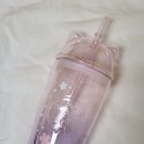 블라썸캣 | 스타벅스 블루밍 캣 글라스 콜드컵 / 체리블라썸 MD