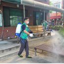 온천2동-19 이미지