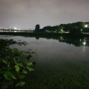 참사랑코다리 이미지
