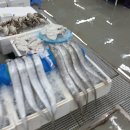 군산수산물종합센터 이미지