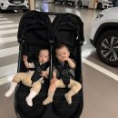 코코스몰 | [오키나와 #6] 여행1일차 :: 오달렌터카, 코코스 식당, 이온몰, 오리온모토부 이자카야