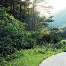 신선계곡 이미지