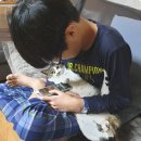 더 좋은친구 태권도장 이미지