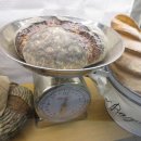 IFC 빌딩 이미지