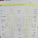 메디슨 벨 이미지