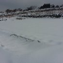 바산농장 이미지