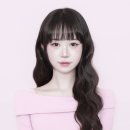 장안1 | 2025 장안대학교 항공관광과 수시1차 합격 후기