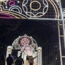 상반기 석촌호수 주말버스킹 | 빛으로 물든 마법의 호수! 석촌호수 루미나리에