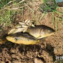 동탄 수질복원센터 파크골프장 이미지