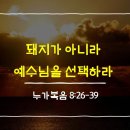 큐티 이미지