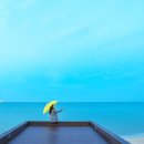 동해망상오토캠핑리조트 이미지