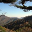 5월 8일 토요 당일 ♣황장산,대미산 ※백두대간 24회차 신청방 이미지