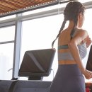 애룰바디 이미지