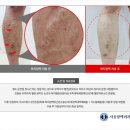 서울항맥외과의원 이미지