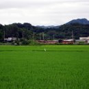 고향생각 이미지