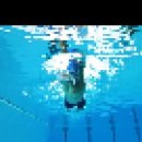 Freestyle (Front crawl) - how to swim this stroke efficiently 이미지