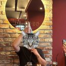 그대만의 작은공간 의왕점 이미지